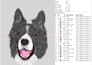 do professional embroidery digitizing logo to dst pes flawless 3d puff